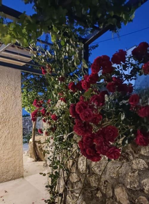Villa Aiolia Kondoyenádha Extérieur photo